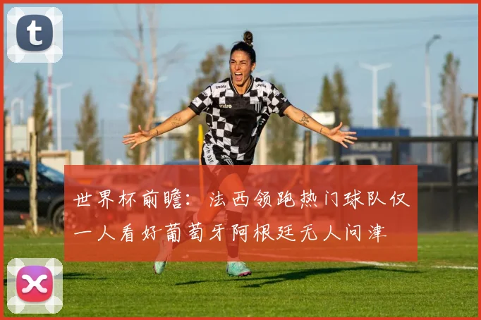 世界杯前瞻：法西领跑热门球队仅一人看好葡萄牙阿根廷无人问津
